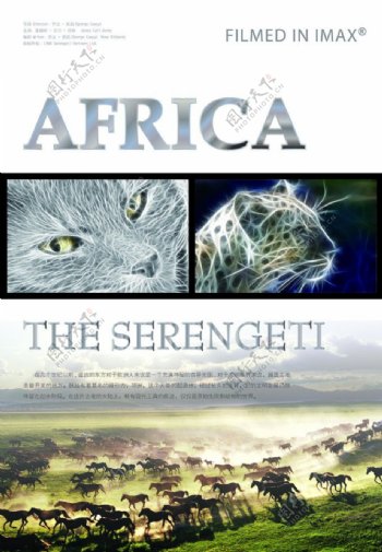 非洲大草原电影海报设计图片
