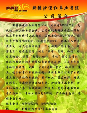 新疆沙漠红枣业公司简介图片