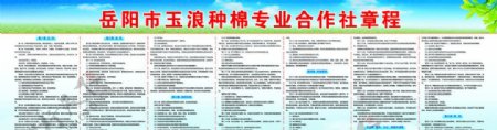 岳阳市玉浪种棉专业合作社章程图片