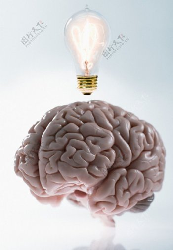 电灯人脑图片