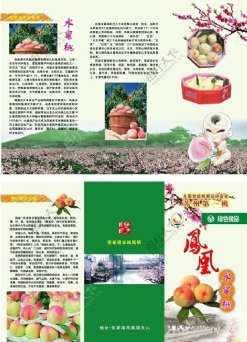 水蜜桃折页图片
