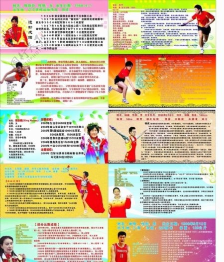 中国体育冠军图片