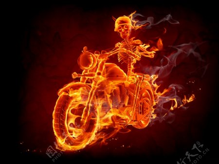 骑摩托车的骷髅图片