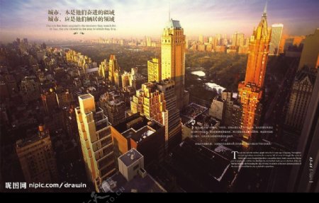 深圳公园大地楼书图片