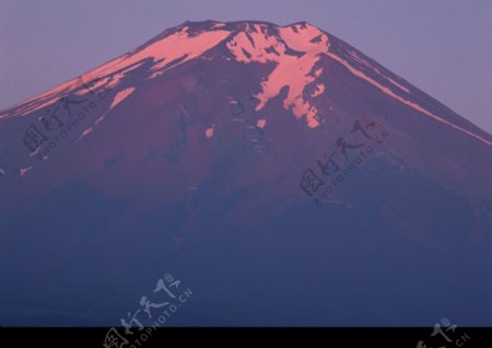 樱花与富士山0069