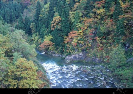 高山流水0103