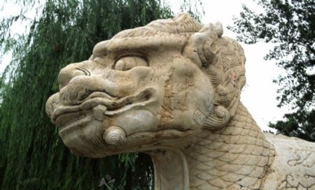 中国雕刻0012