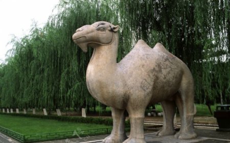 中国雕刻0014