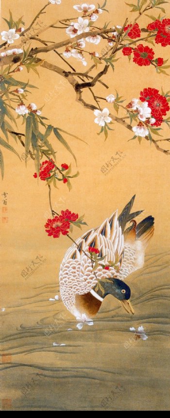 中国现代花鸟0017