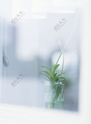 植物与空间0359