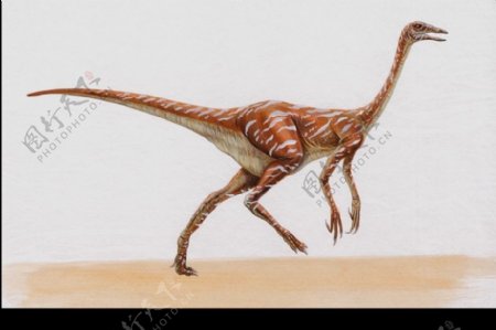 白垩纪恐龙0008