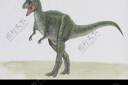 白垩纪恐龙0013