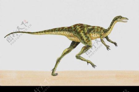 白垩纪恐龙0040