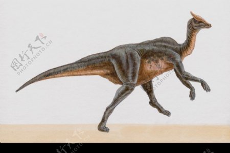 白垩纪恐龙0081
