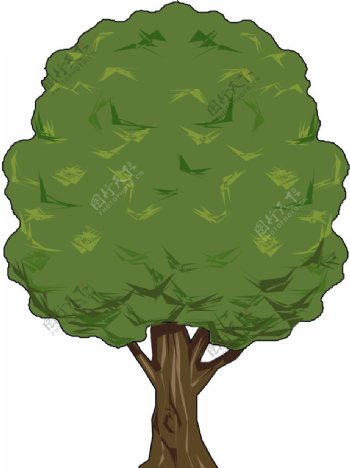 树木1489