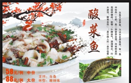酸菜鱼生鱼
