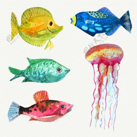 5款水彩绘海洋生物矢量素材
