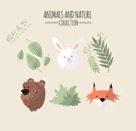 可爱的动物和大自然的收集