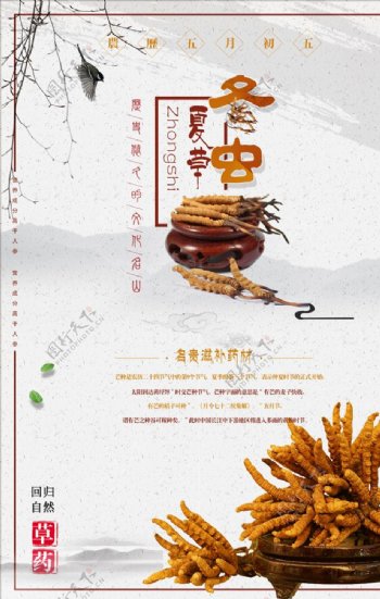 中国风中药文化冬虫夏草海报