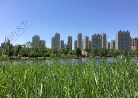 哈尔滨丁香公园