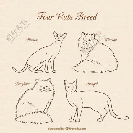 四只猫手绘