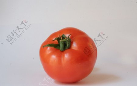 西红柿藩茄水果玻璃碗食