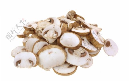 香菇蘑菇火锅香菇鲜香菇