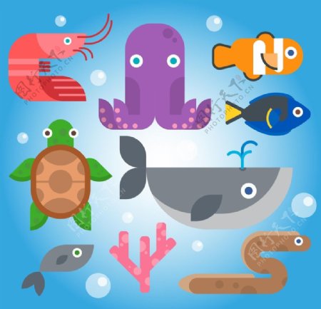 8款海洋动物
