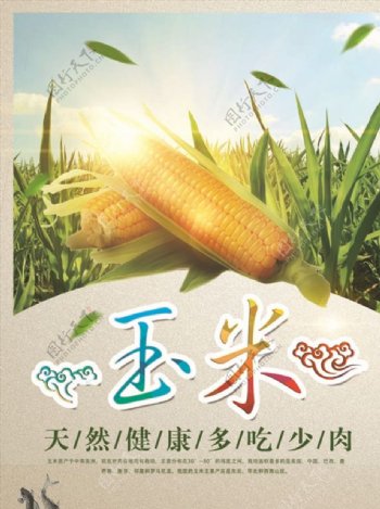 有机新鲜玉米蔬菜促销海报