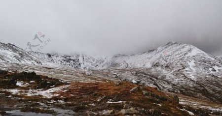 高山壁纸