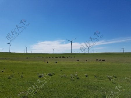 草原电力风车风景