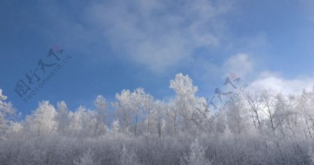 林海雪原