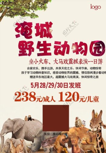 野生动物园宣传海报设计