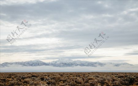 冬季枯草雪山