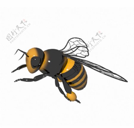 蜜蜂3D模型带贴图