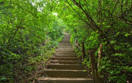 山间小道高清摄影