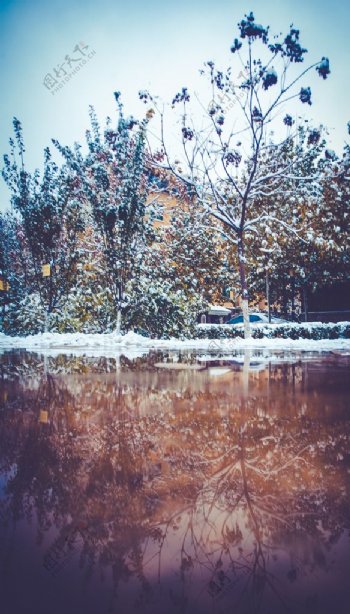 雪景