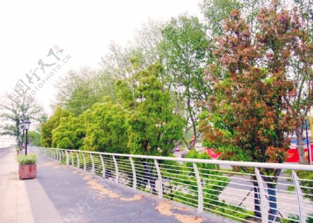 南京道路风景