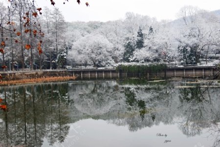 武汉大学鉴湖雪景