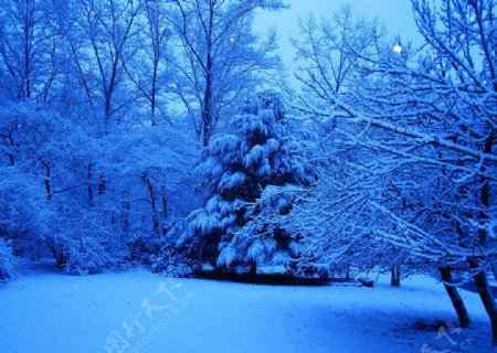 唯美蓝色雪景