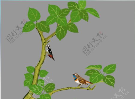 小鸟在树上栖息flash动画