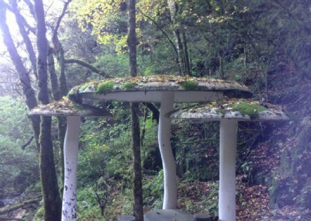 神农架蘑菇石景色