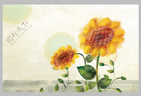 韩国手绘向日葵插画