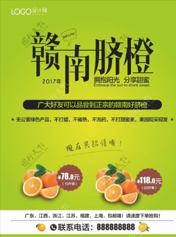 赣南脐橙促销海报宣传活动模板源