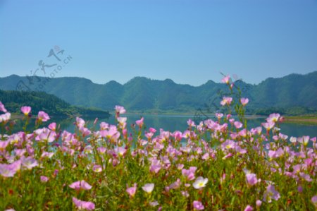 千岛湖边