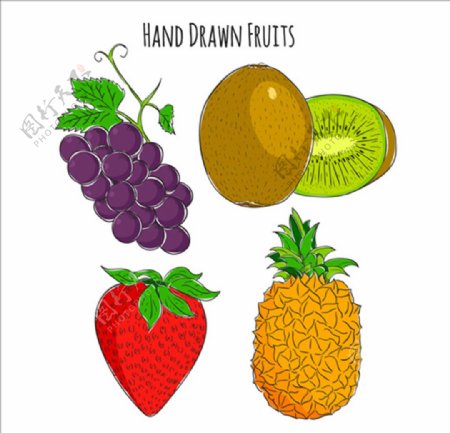 四种美味的水果