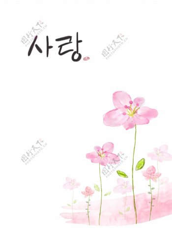 韩式粉色小花朵