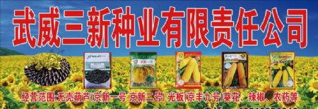 向日葵葫芦种子销售海报
