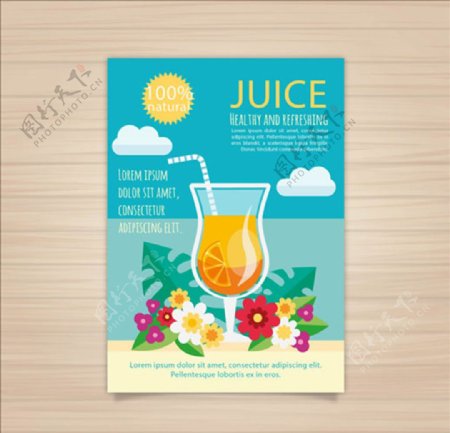 平面橙汁手册设计
