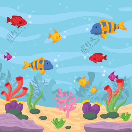 海底彩色的鱼类背景